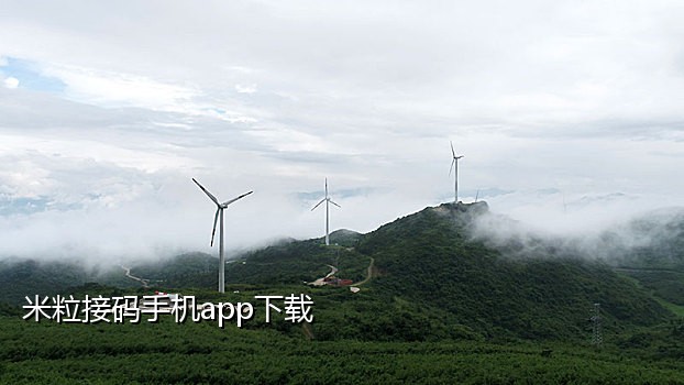 小红书接码器