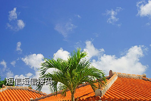 向日葵接码登录