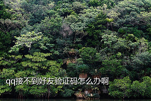 苹果外卖电话接不到验证码