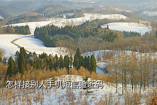 推特注册手机号接码验证