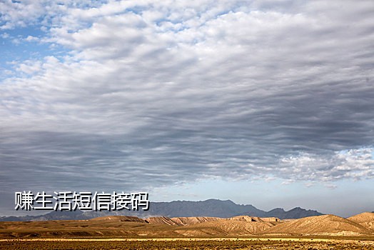 真实手机接码平台有哪些软件