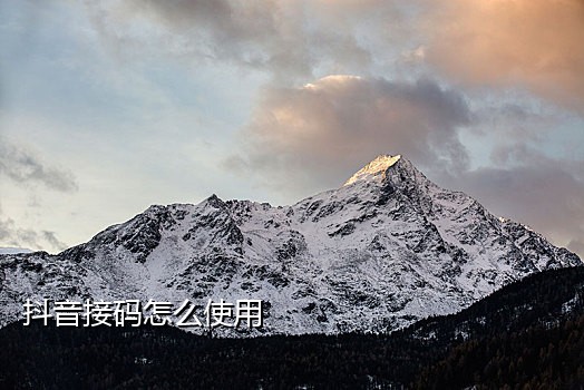 速码接码能接淘宝的么