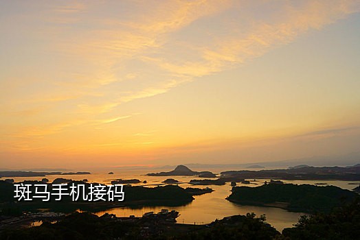 手机在线云接码