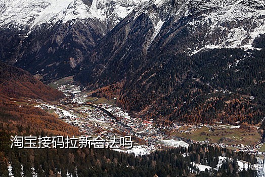 手机移动接码什么意思