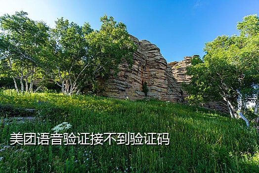 手机老接腾讯视频验证码