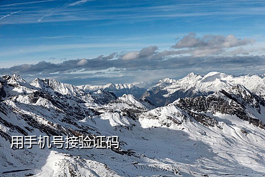 手机接码平台csdn