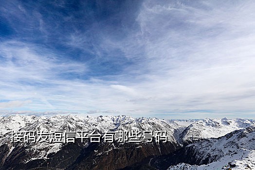 手机接码具体怎么操作的