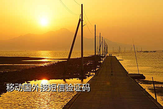 手机号接码卡商