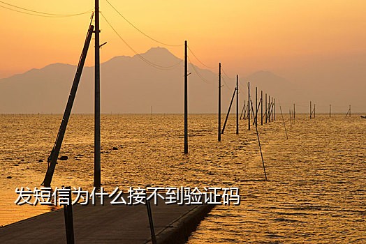 收费的手机接码平台是什么