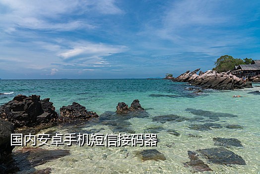 拼多多接码干什么用的