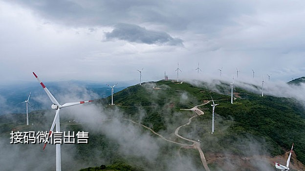 柠檬短信验证码接码平台