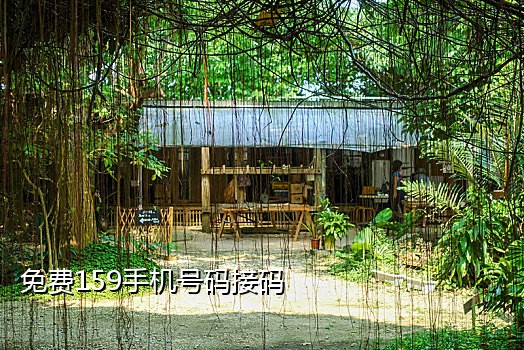 尼日利亚短信接码