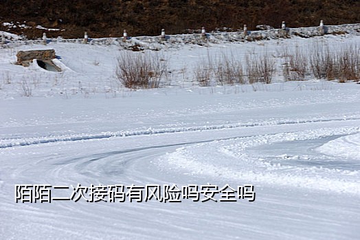 苹果短信代接验证码