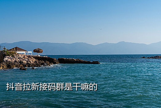 批量手机号接验证码