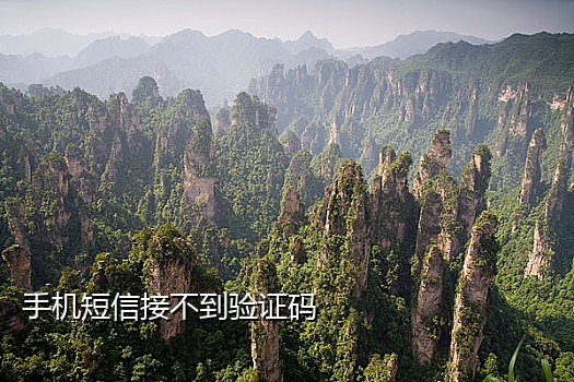 能做微信的接码平台