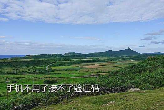 能激活快手的接码平台