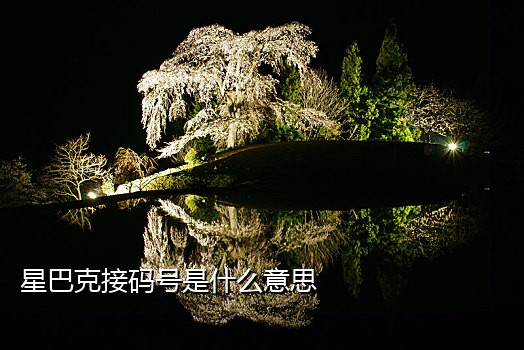 免费的接码平台短信