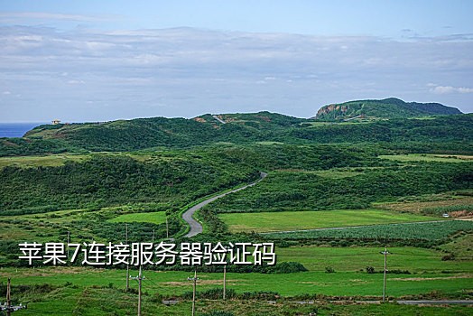 米云短信接验证码平台