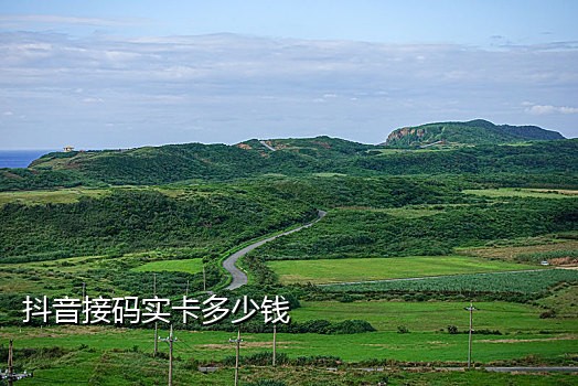 米粒接码手机可以用吗