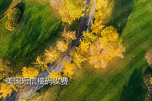美团账号注册接码怎么弄