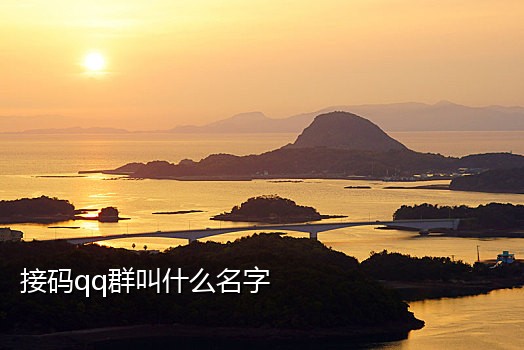 美团可以一单一单的接码