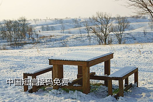 美团接码app哪个好用