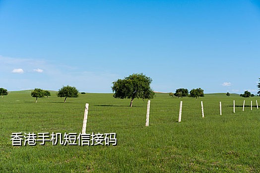 蚂蚁验证码接码短信平台