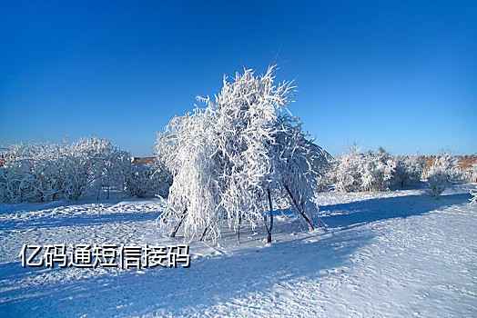 蓝狐接码平台对接qq 群