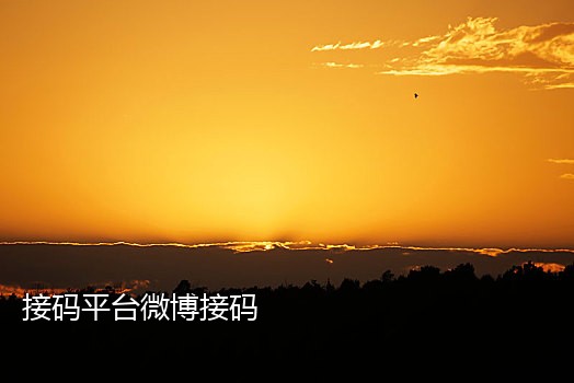 快手绑定手机号可以接码吗