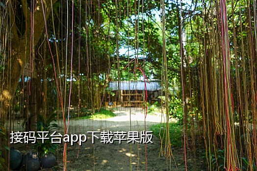 可以接淘宝的验证码