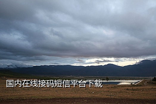 可可抖音接码平台