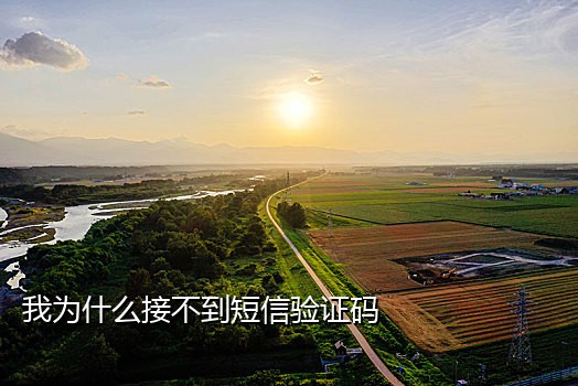 接手机号验证码平台怎么接的