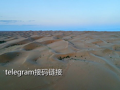 接码平台怎么注册百度