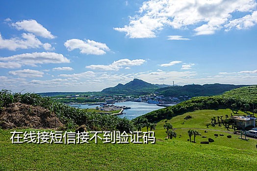 接码平台如何接受正常短信