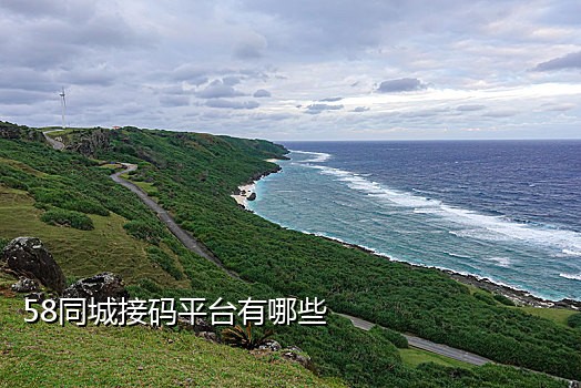 接码电信注册微信