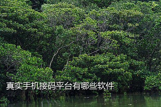 接短信验证码服务