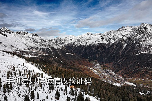 果果验证码短信接码平台