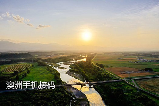 国际手机接码软件