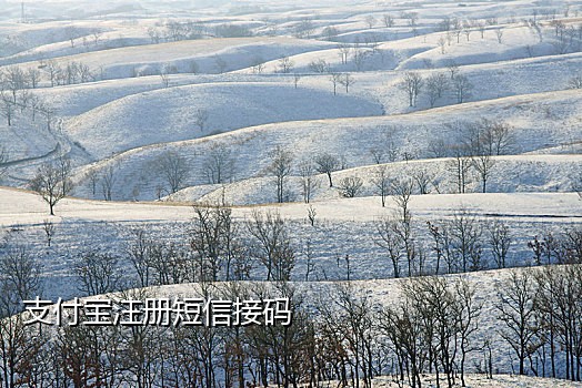 短信接码平台注册流程