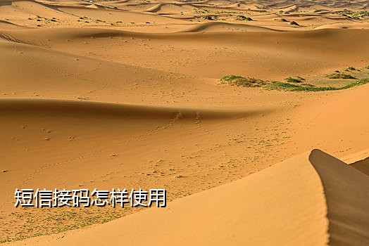 短信接码联通怎么收费的