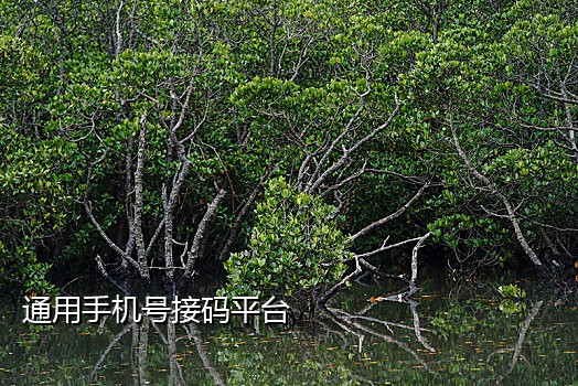 免费的接码短信平台有哪些