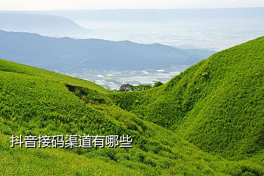 抖音接推广码是什么意思