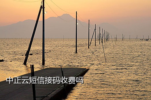 电信手机卡接码
