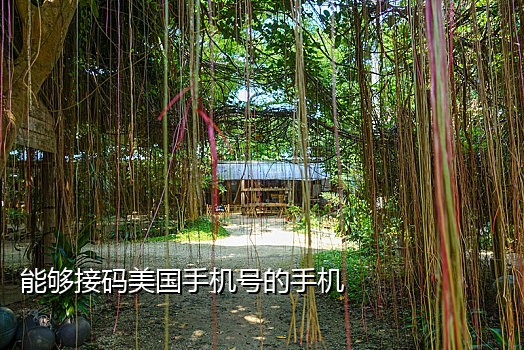 电话手表接不到短信验证码