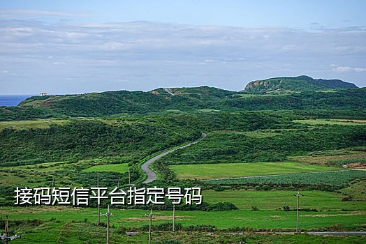 德国手机号接验证码收费吗