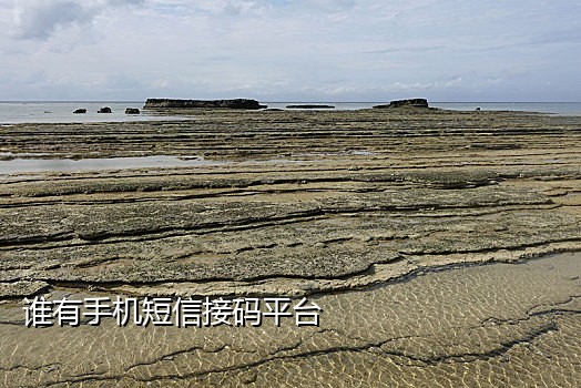 美团账号注册接码怎么弄