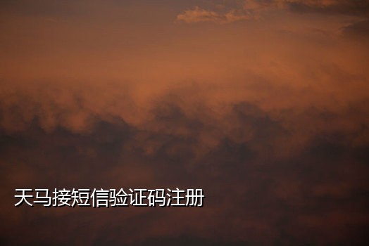 代接别人手机验证码