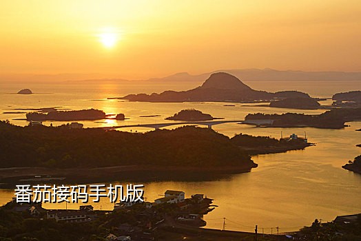 不用手机可以接验证码吗