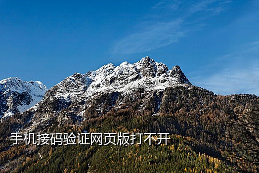 哔哩哔哩注册接码流程视频