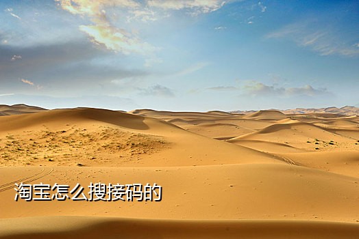 斑马接码平台手机版